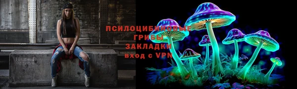 ешки Горняк