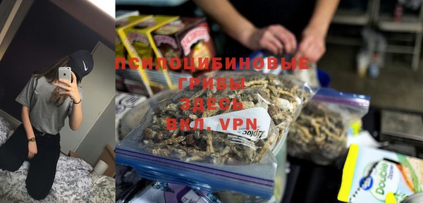 ешки Горняк